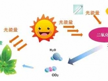 家中甲醛超標(biāo)，什么才是甲醛治理的正確姿勢？