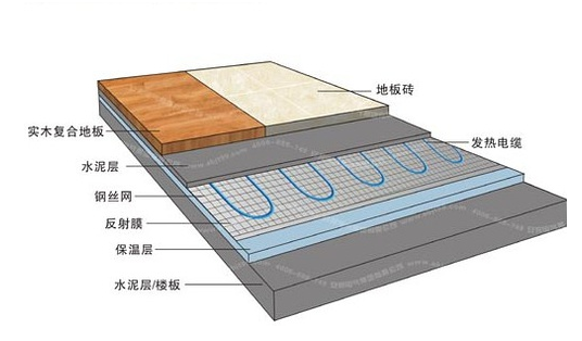 冬季，它們成了甲醛的幫兇