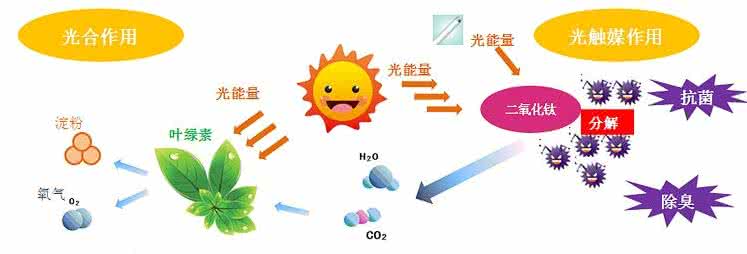 家中甲醛超標，什么才是甲醛治理的正確姿勢？